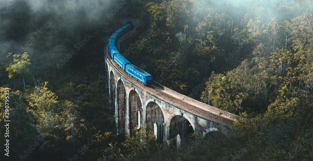 Ella scenic train and tea hills